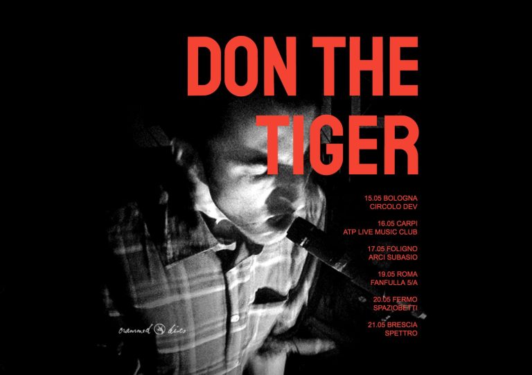 DON THE TIGER (Live)