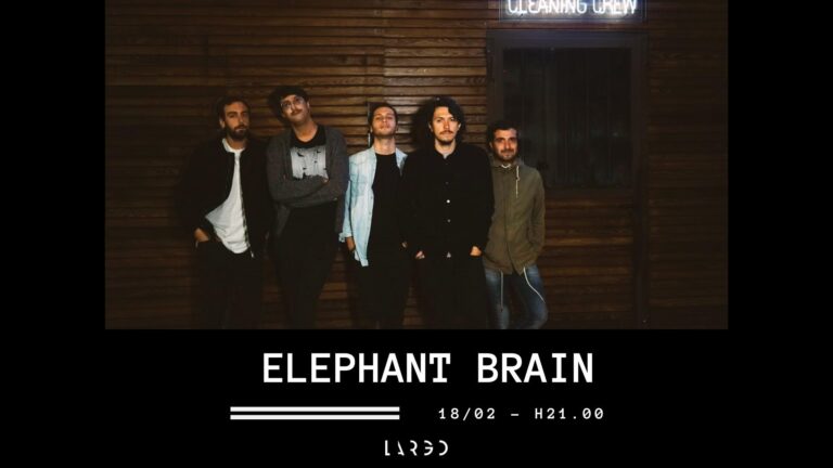 Elephant Brain Live