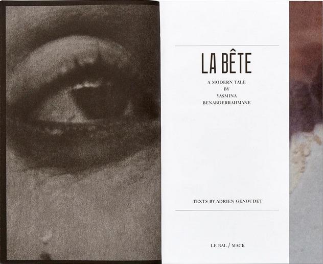 Presentazione del libro La Bête – A Modern Tale con Yasmina Benabderrahmane