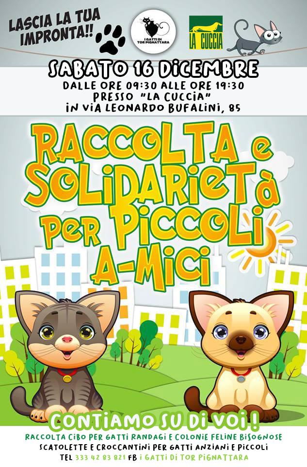 Raccolta e Solidarietà per Piccoli A-Mici