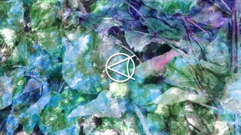 SINCE w/ Orree & Equohm