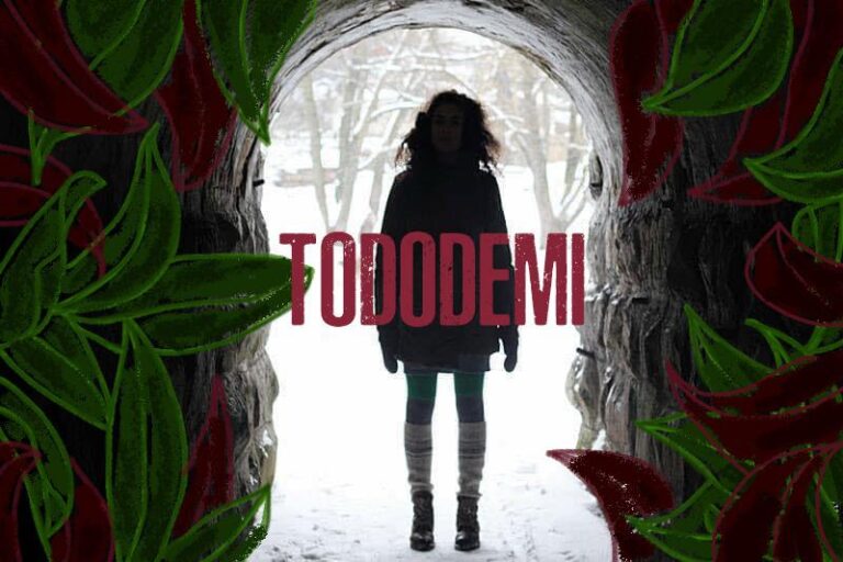 TODODEMI DJ SET