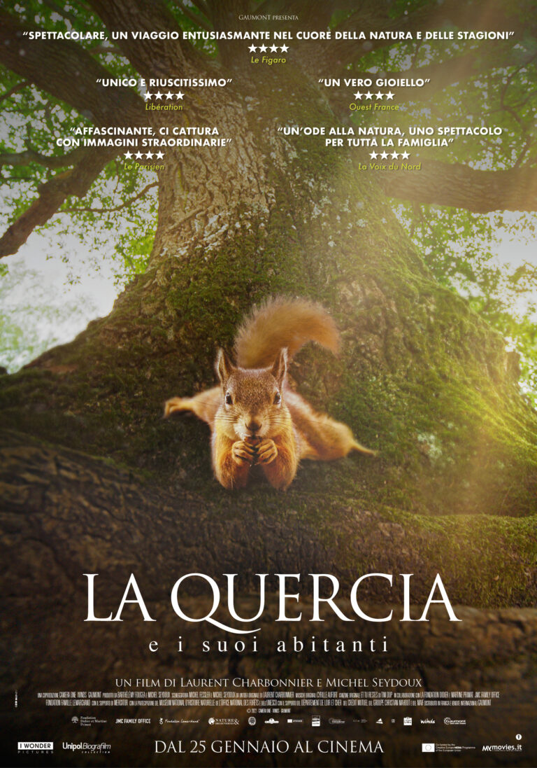 LA QUERCIA E I SUOI ABITANTI