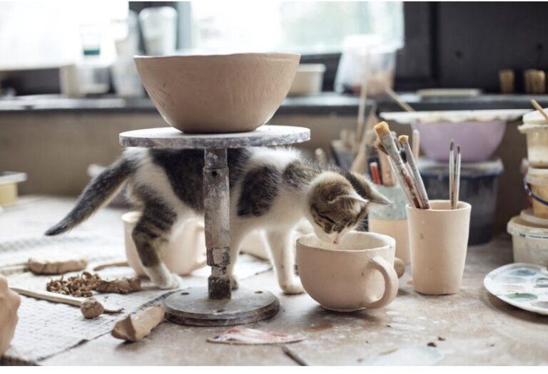 Decora il tuo gatto di ceramica!