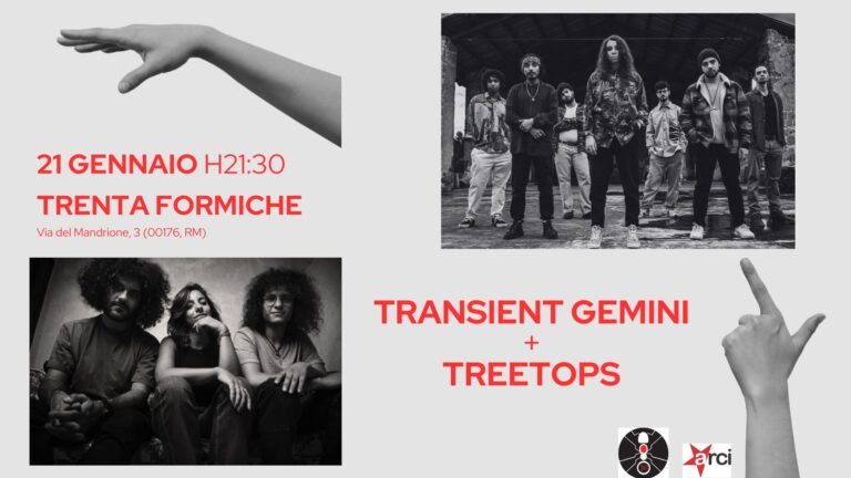 TRANSIENT GEMINI + TREETOPS live @Trenta Formiche