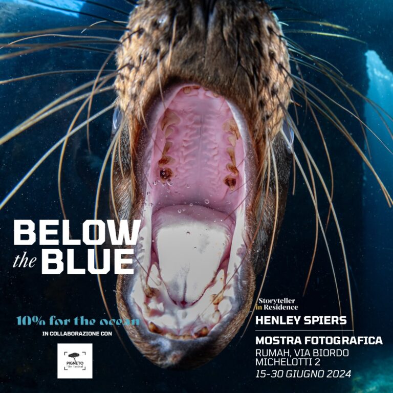 “Below the blue” di Henley Spiers