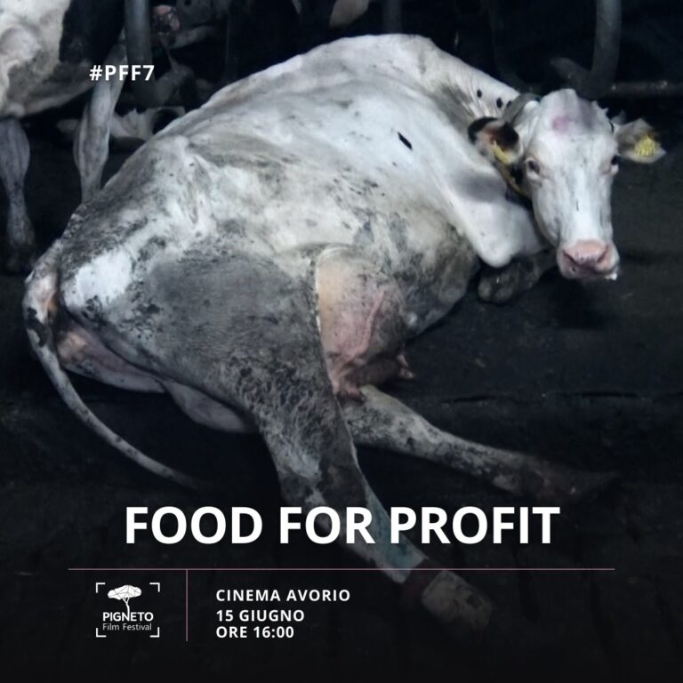 “Food for Profit” di Giulia Innocenzi e Paolo D’Ambrosi