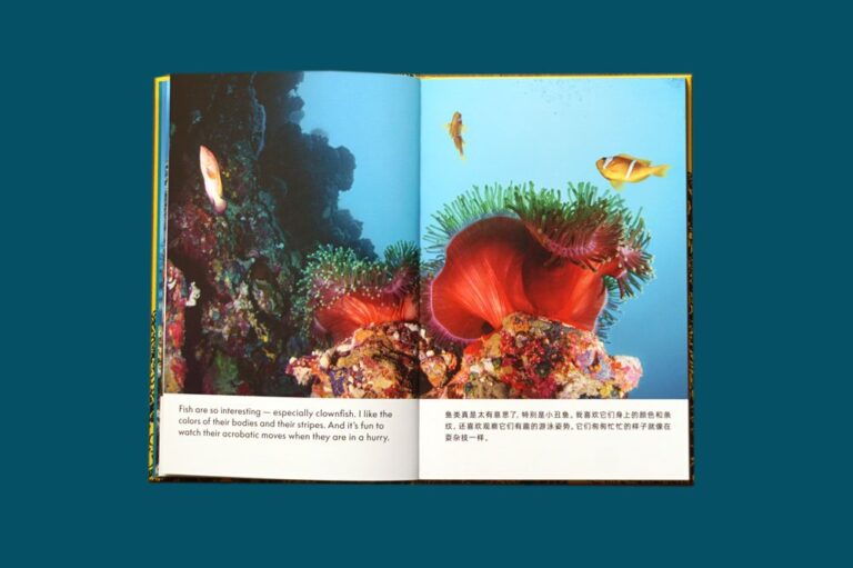 The Anemone, the Clownfish and Dr. Song, di Song He e Nico Krebs. Pubblicato da Skinnerboox