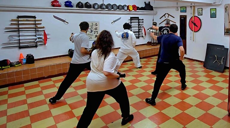 OPEN DAY KUNG FU