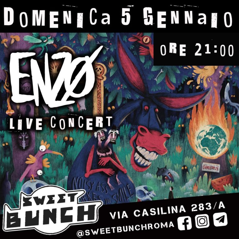 Enzø (concert) + bazar epifanico d’autoproduzioni