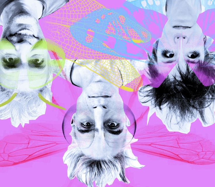 GLI INSETTI NELL’AMBRA (No Wave / Parigi – Bologna) + Opening: BLISS (Post Punk) + Steve Pepe dj set