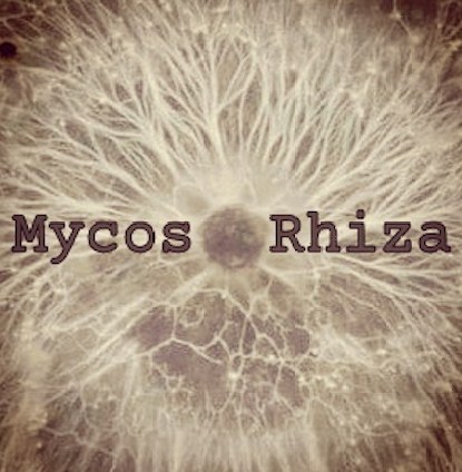 MYCOS RHIZA (Jazz-Ambient-Drone-Noise / Live) + A-Tweed dj set