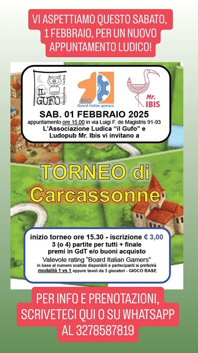 Torneo di Carcassonne