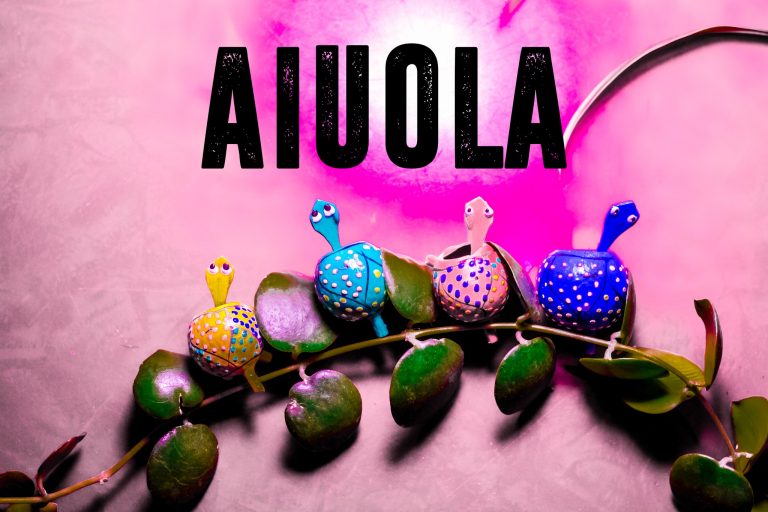Aiuola in concerto