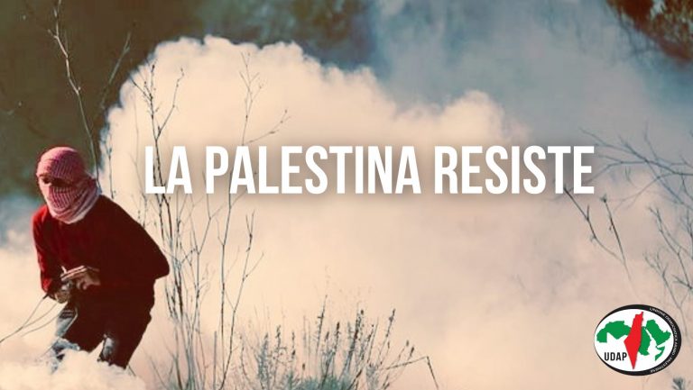 Dibattito sulla Palestina – Ultimi sviluppi