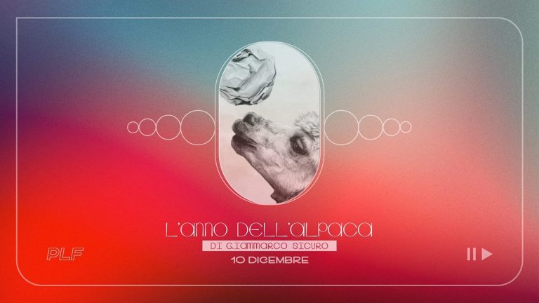 “L’anno dell’alpaca” di Giammarco Sicuro