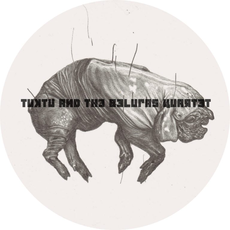 Infesta closing Party | Tuktu and the Belugas Quartet live set