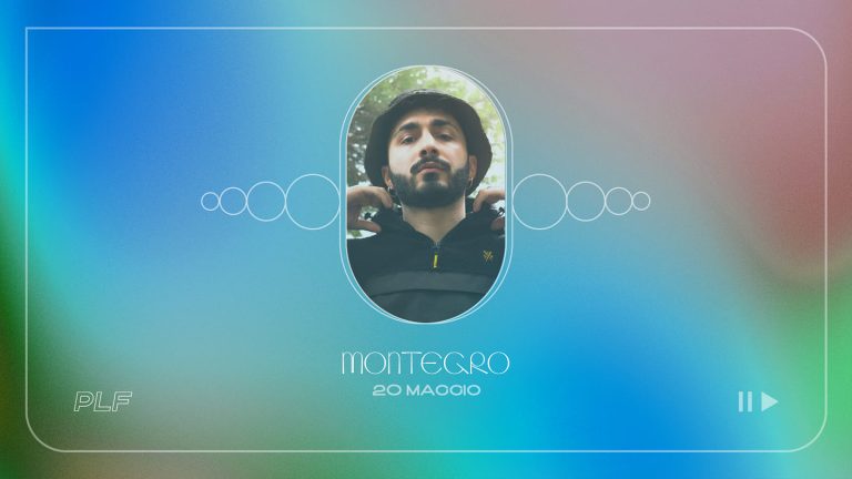 Montegro